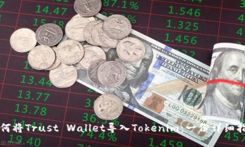 如何将Trust Wallet导入Tokenim:一份详细指南