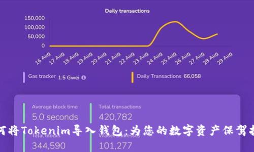 如何将Tokenim导入钱包：为您的数字资产保驾护航