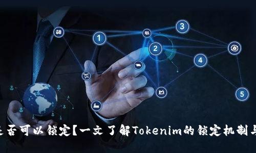 Tokenim是否可以锁定?一文了解Tokenim的锁定机制与应用价值
