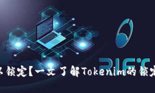 Tokenim是否可以锁定?一文了解Tokenim的锁定机制与应用价值