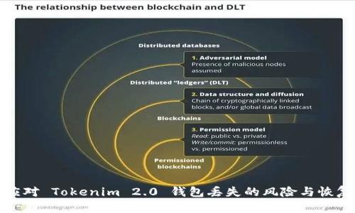 如何应对 Tokenim 2.0 钱包丢失的风险与恢复策略