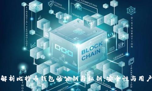 深入解析比特币钱包的公钥与私钥:安全性与用户价值
