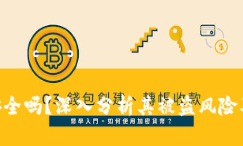 TokenIM安全吗?深入分析其被盗风险及防护措施