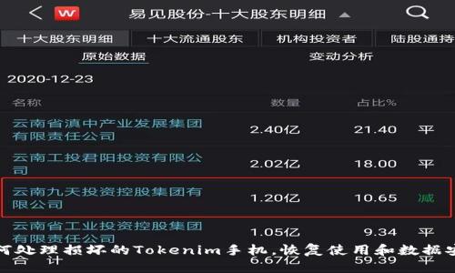 如何处理损坏的Tokenim手机,恢复使用和数据安全