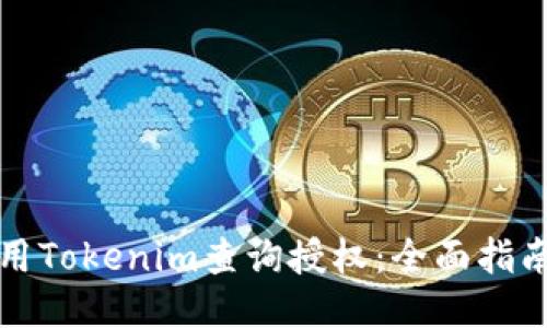 如何使用Tokenim查询授权:全面指南与技巧