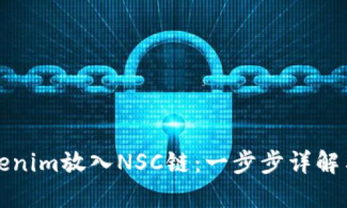 如何将Tokenim放入NSC链:一步步详解与实用指南