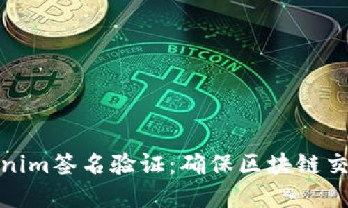 深入理解Tokenim签名验证:确保区块链交易安全的关键