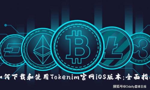 如何下载和使用Tokenim官网iOS版本：全面指南