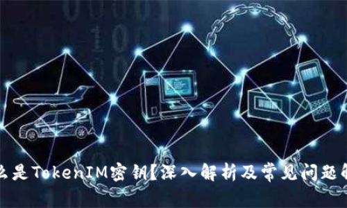 什么是TokenIM密钥？深入解析及常见问题解答